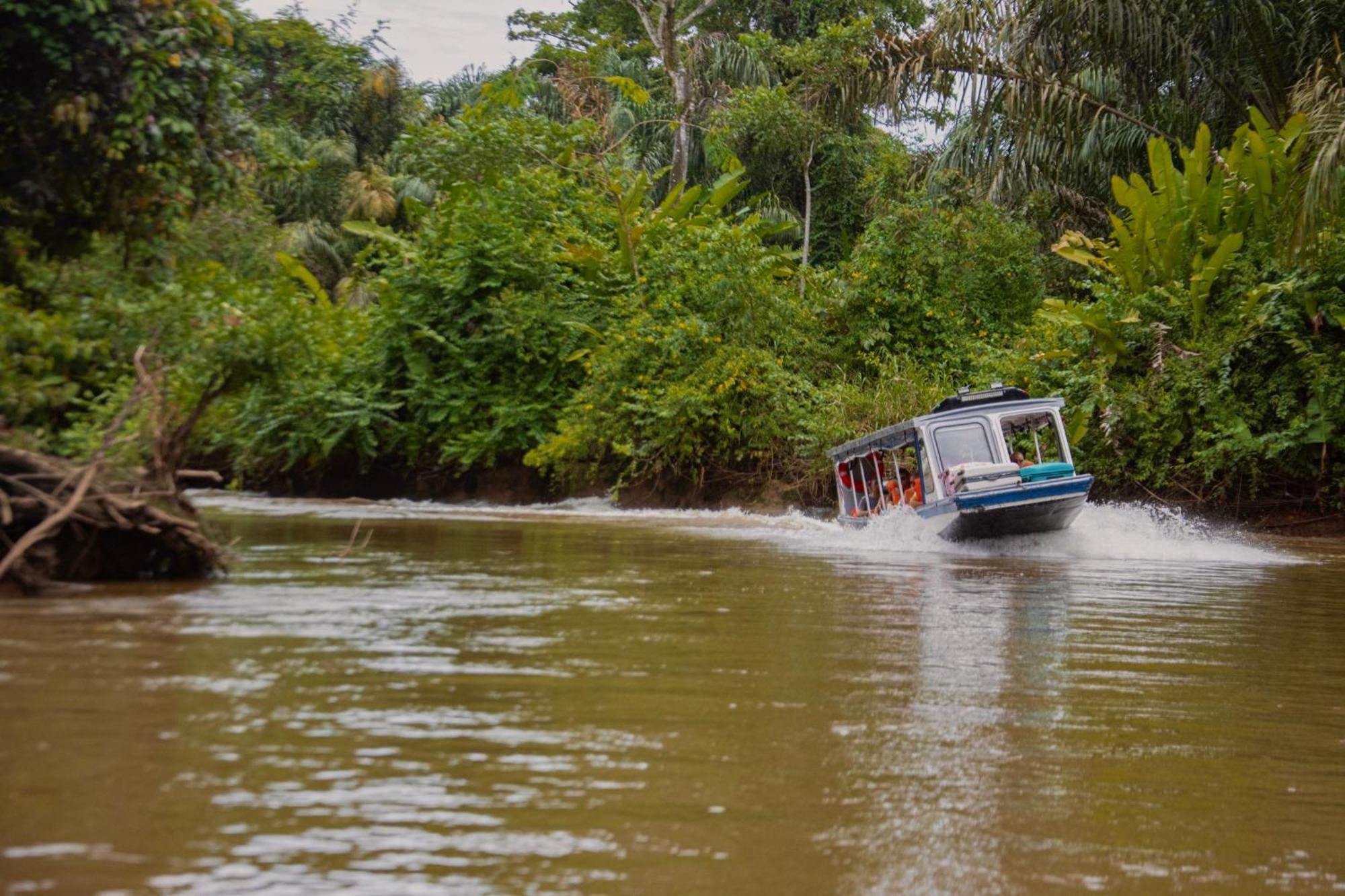 Carey Lodging Tortuguero Exterior photo